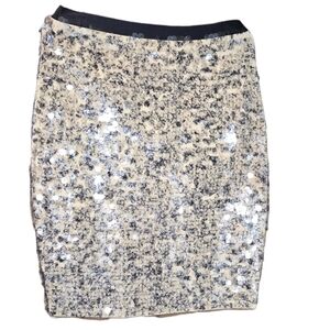 J. Crew Collection Marino Wool teardrop sequin midi skirt